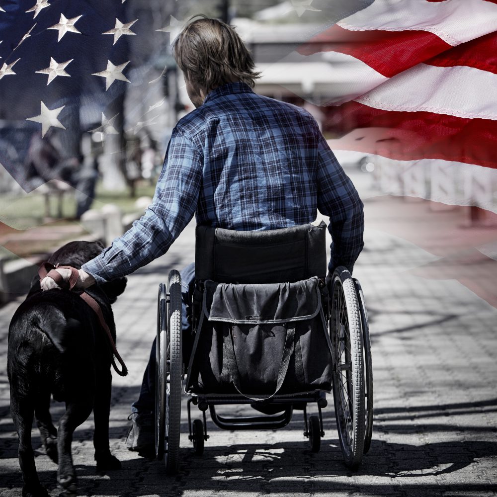 Man on wheelchair with guide dog concept USA veteran concept photograph patriotism and sacrifice
